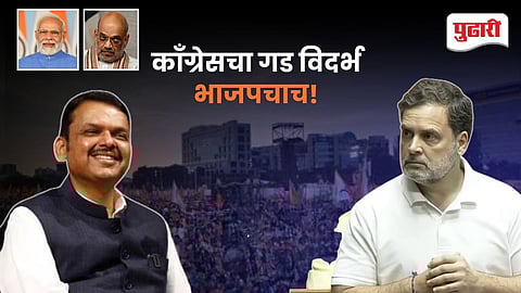 Vidarbha BJP Dominance