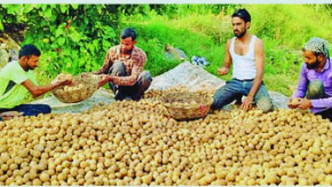 sambhajinagar farmer news