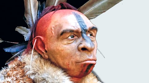 Neanderthal extinction