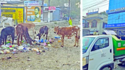 Beed Municipality News