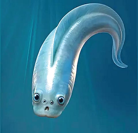 Four eyed ancestors |