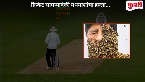Bee Attack In Cricket Match
