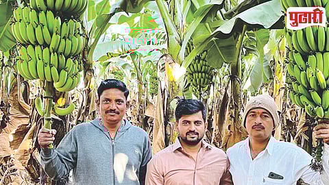 Ganeshwadi Banana Farming Success