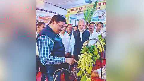 Pudhari Agri Pandhari