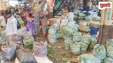 APMC Vegetable Price