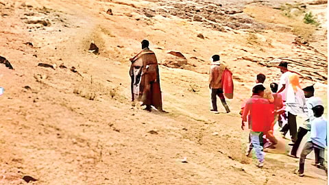 Ajanta Caves bee attack on tourists