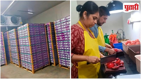 Maharashtra Agricultural Export 2025-26