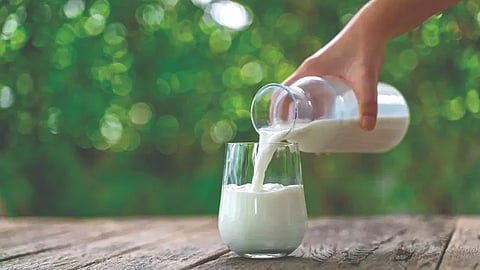 Milk Health Benefits