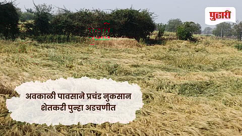 Unseasonal rain hingoli