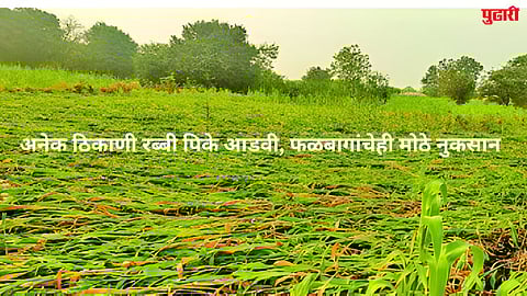 Unseasonal rain in Sambhajinagar