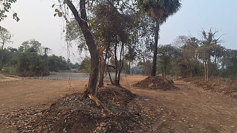 Environmental degradation