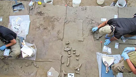 Alaska archaeological discovery |