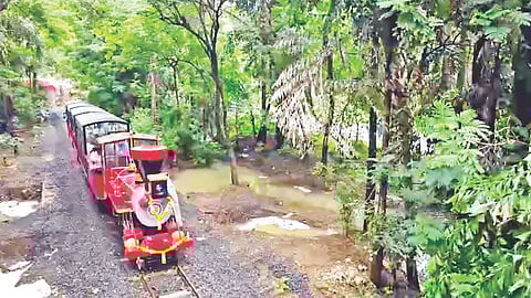 Vanrani mini toy train