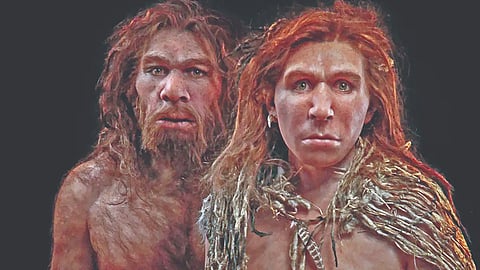 Neanderthal Human Genetic Study