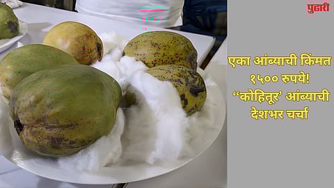 एका आंब्याची किंमत १५०० रुपये! हर्ष गोएंका यांच्या पोस्टमुळे ‘या’ खास आंब्याची देशभर चर्चा