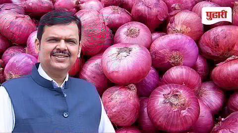 Nashik news | कांदाप्रश्नी बैठक घेऊन तोडगा काढणार : फडणवीस