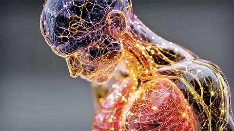 Aging research study