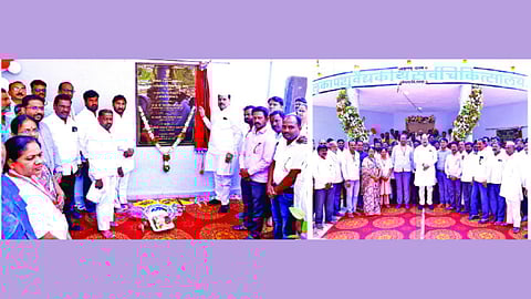 Agriculture allied business income growth