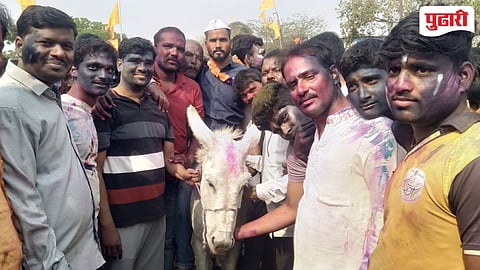 Son-in-law donkey ride Vida Beed