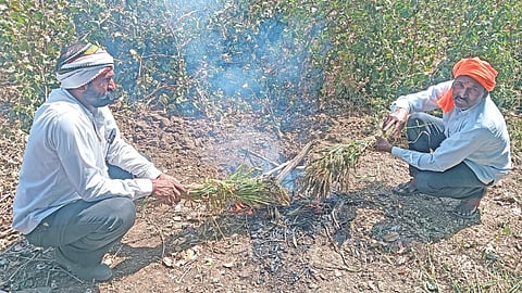 Hurda party in Jamkhed