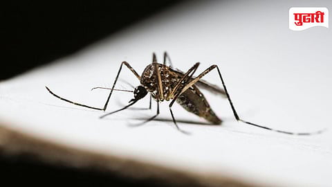 Mumbai Government Hospitals