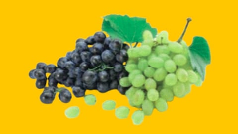Nashik grape exporters crisis