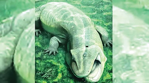 Ancient jaw fossil mystery |