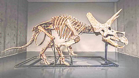Rare dinosaur skeleton auction |
