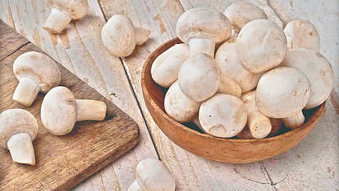 Mushroom health benefits |