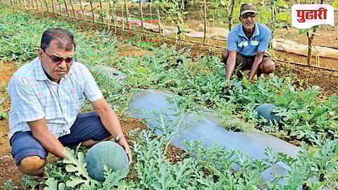 Goa Agriculture Success Story