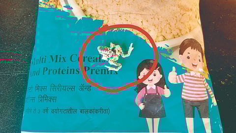 kolhapur | शेणवडेत पोषण आहार पाकिटात आढळली मृत बेडकी