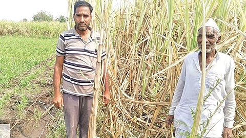 Majalgaon farmer road access problem