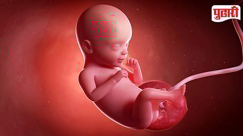 Female Fetus Abortion