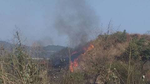Vasai forest fire