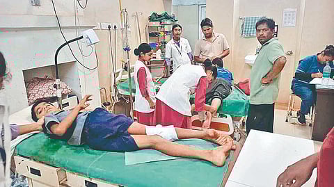 Satara stray dog attack: मेटगुताड येथे भटक्या कुत्र्यांचा धुमाकूळ; सात मुले जखमी