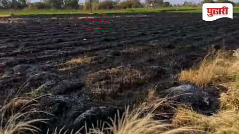 Dhule news | शेतातील वीज लाईनच्या स्पार्किंगमुळे २ एकर गव्हाचे पीक जळून राख