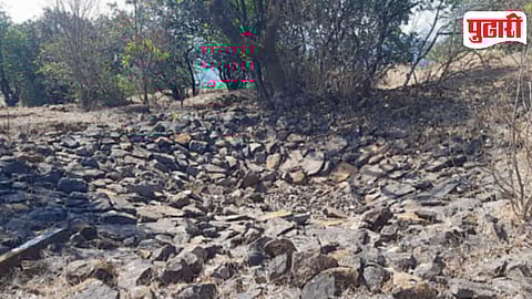 Rajgad Forest Water Crisis