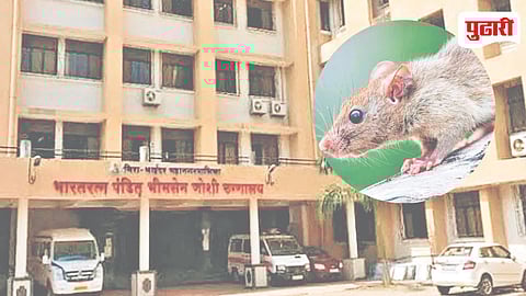 Pandit Bhimsen Joshi Hospital Negligence