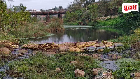Ulhas River Pollution