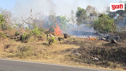 Palghar Forest Fire