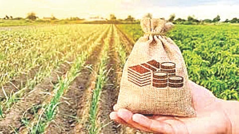 farm loan waiver