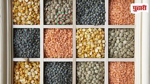 LPG Pulses Price Hike