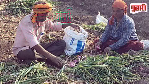 Unseasonal Rain Impact Farmers