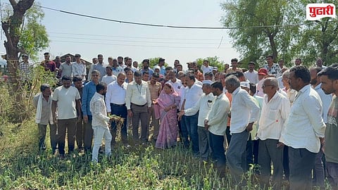 Sakri taluka crop damage