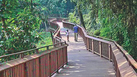Mumbai morning walk pass
