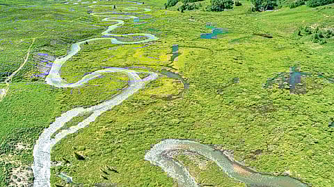 Colorado River Water |
