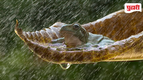 Maharashtra Monsoon Forecast