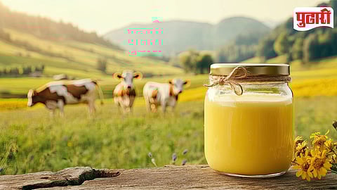 Cow Urine Business