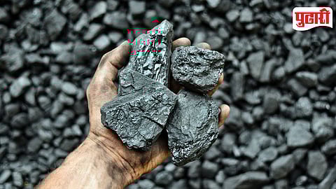 Coal