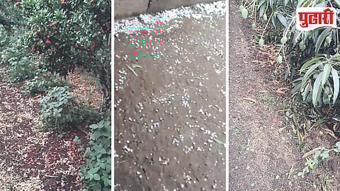 Hailstorm Crop Damage